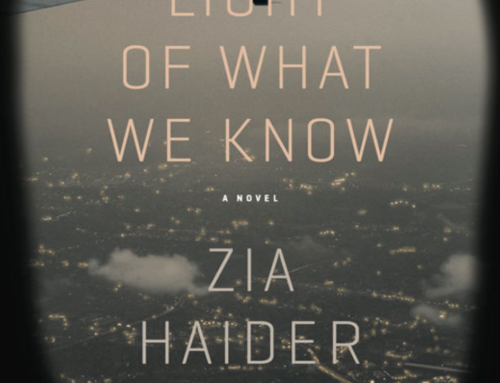 In The Light Of What We Know by Zia Haider Rahman