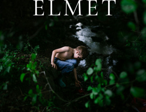 Elmet by Fiona Mozley