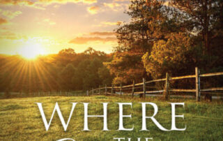 Where the Heart Is: A Homecoming by D.L. Norris