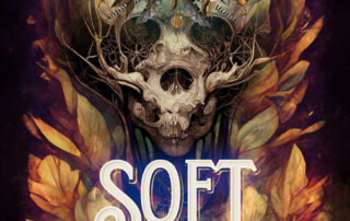 Soft & Rage by Myka Silber