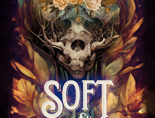 Soft & Rage by Myka Silber