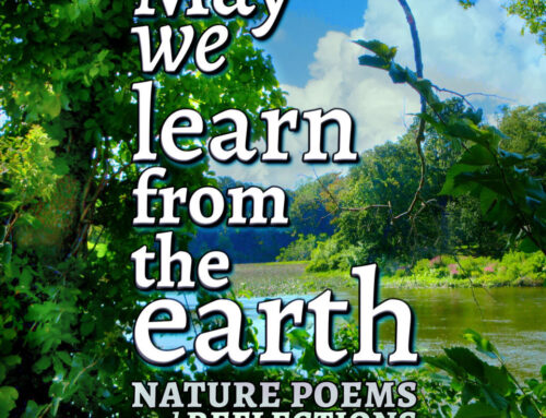 May We Learn From the Earth by Robert J. Tiess