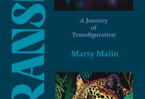 Transit by Marty Malin