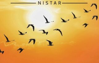 Hidden: Nistar by Batya Casper