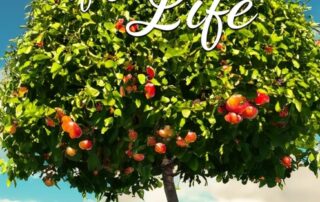 Poetry of a Life by Sharon Romero