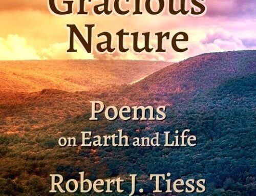Gracious Nature by Robert J. Tiess