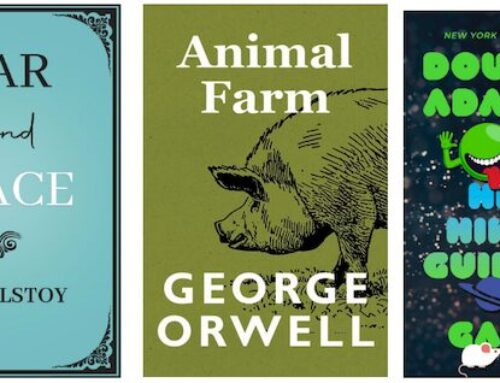 Exploring Narrative Perspectives: The Omnipresent Observer of Third-Person Narration