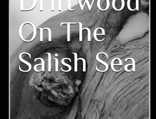 Like Driftwood on the Salish Sea by Richard I Levine