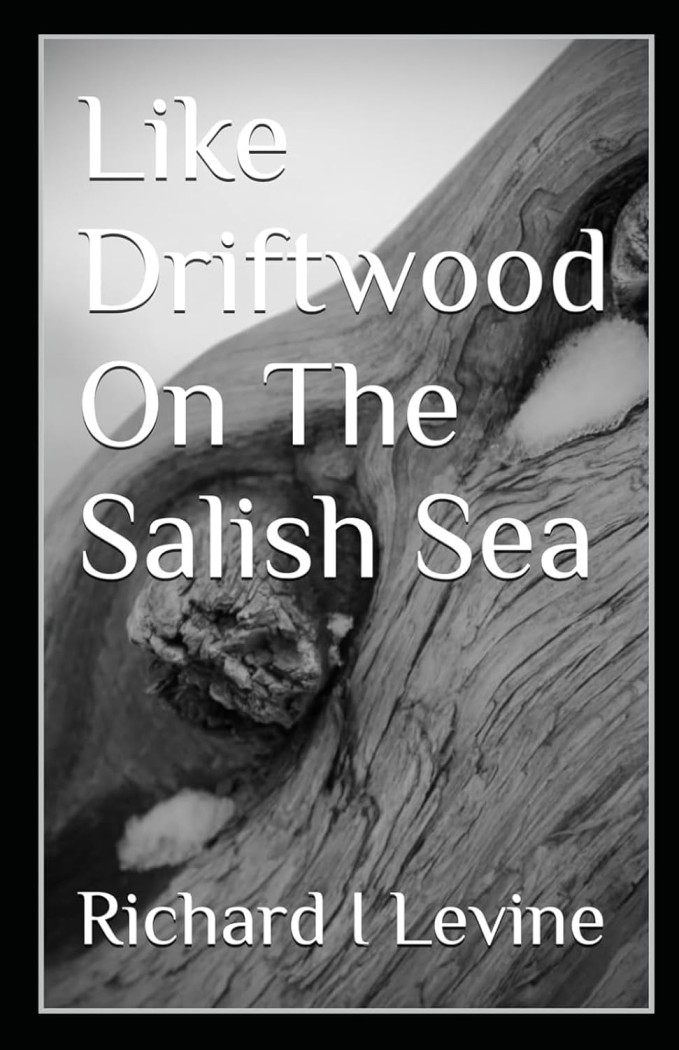 Like Driftwood on the Salish Sea by Richard I Levine