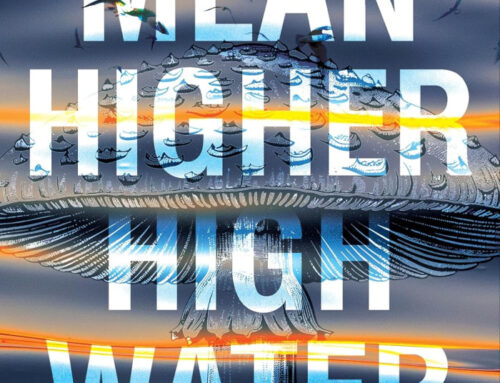 Mean Higher High Water by D.S.G. Burke