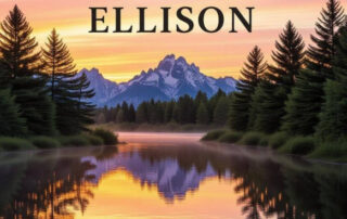 The Disappearance of Maxwell Ellison by Jacob Armatage