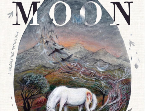The Way of Salmon Moon by D. Firth Griffith